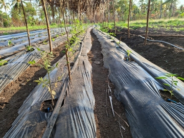 upcoming-events-img-1